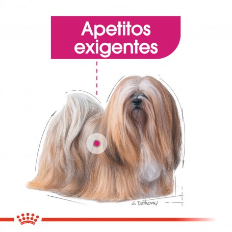 Royal Canin Mini Exigent