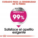 Royal Canin Mini Exigent