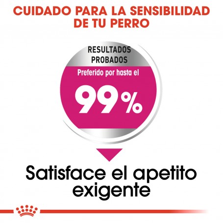 Royal Canin Mini Exigent