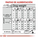 Royal Canin Mini Exigent