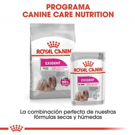 Royal Canin Mini Exigent