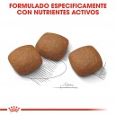 Royal Canin Maxi Joint Care