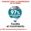 Royal Canin Maxi Joint Care