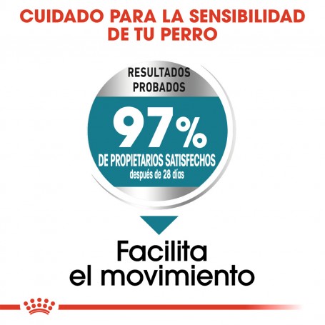 Royal Canin Maxi Joint Care