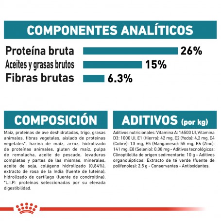 Royal Canin Maxi Joint Care