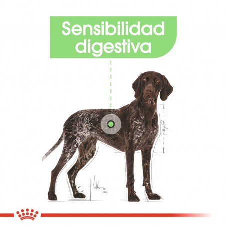 Royal Canin maxi Digestive Care