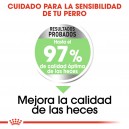 Royal Canin maxi Digestive Care