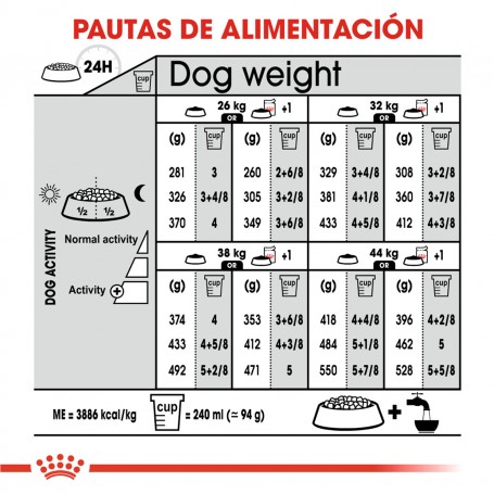 Royal Canin maxi Digestive Care