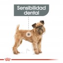 Royal Canin Dental Care Mini