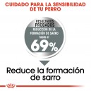 Royal Canin Dental Care Mini