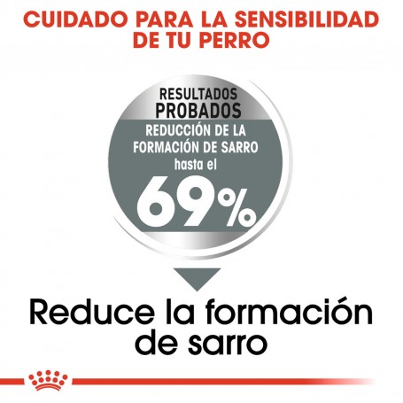 Royal Canin Dental Care Mini