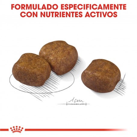 Royal Canin Dental Care Maxi