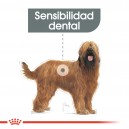 Royal Canin Dental Care Maxi