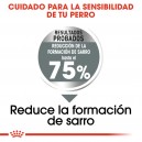 Royal Canin Dental Care Maxi