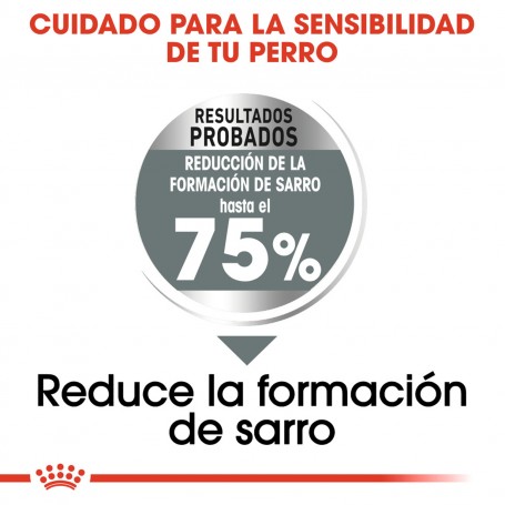 Royal Canin Dental Care Maxi