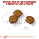 Royal Canin Urinary Mini