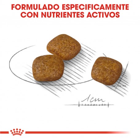 Royal Canin Urinary Mini