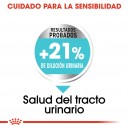 Royal Canin Urinary Mini