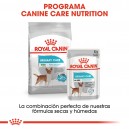 Royal Canin Urinary Mini