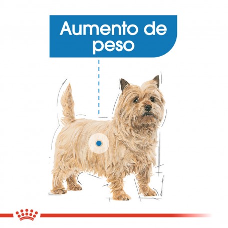 Royal Canin Light Weightcare Pouch