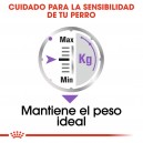 comida húmeda Royal Canin Light Sterilized Pouch