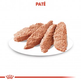 Royal Canin Digestive Care comida húmeda para perro adulto con...