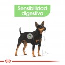 Royal Canin Digestive Care Pouch, comida húmeda para perros