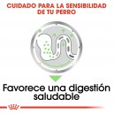 Royal Canin Digestive Care Pouch, comida húmeda para perros