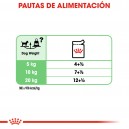 Royal Canin Digestive Care Pouch, comida húmeda para perros