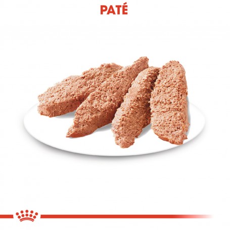 comida húmeda Royal Canin Dermaconfort Pouch