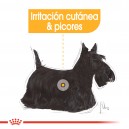 comida húmeda Royal Canin Dermaconfort Pouch