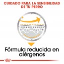 comida húmeda Royal Canin Dermaconfort Pouch