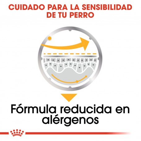 comida húmeda Royal Canin Dermaconfort Pouch