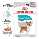 Royal Canin Urinary Care Pouch