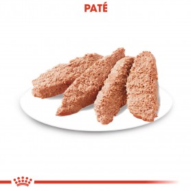 Royal Canin Urinary Care comida húmeda para perro adulto con...