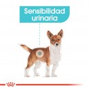 Royal Canin Urinary Care Pouch