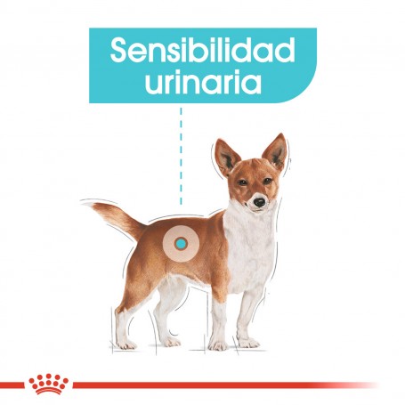 Royal Canin Urinary Care Pouch