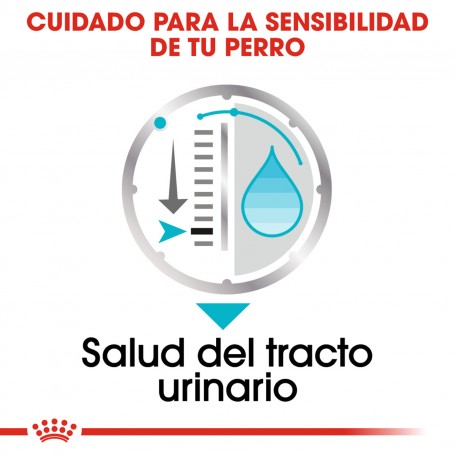 Royal Canin Urinary Care Pouch
