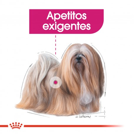 Royal Canin Exigent Pouch, comida húmeda para perros