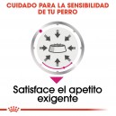 Royal Canin Exigent Pouch, comida húmeda para perros