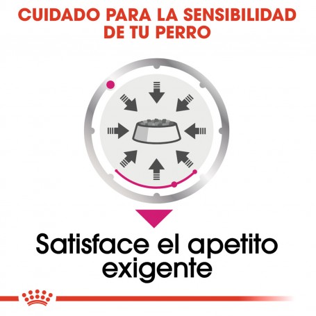 Royal Canin Exigent Pouch, comida húmeda para perros