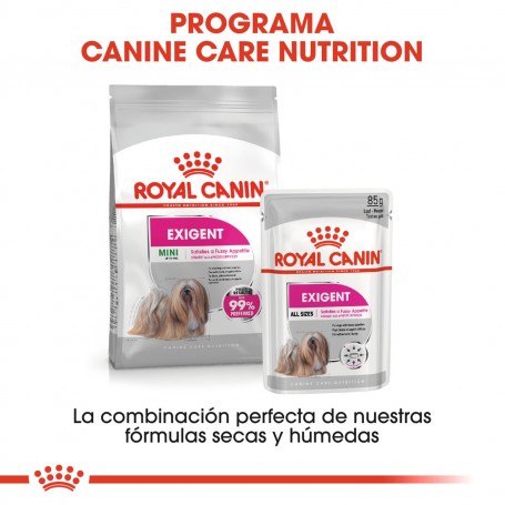 Royal Canin Exigent Pouch, comida húmeda para perros