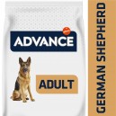 Advance German Shepherd - Pastor Aleman