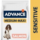 Advance Sensitive Medium - Maxi Salmon & Rice