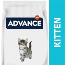 Advance Kitten Chicken & Rice