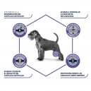 Advance Articular Stick, Snacks para perros, golosinas veterinarias