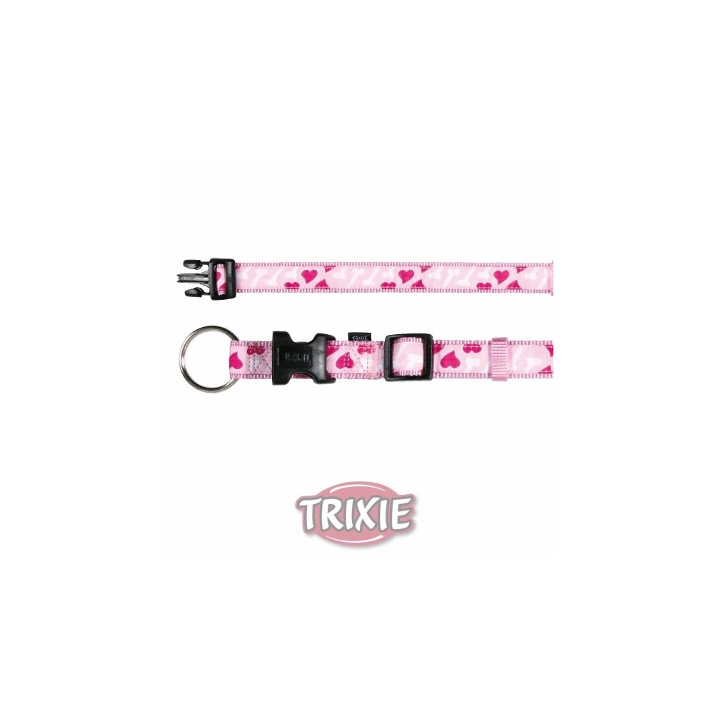 Collar Modern Art Rose Heart Rosa