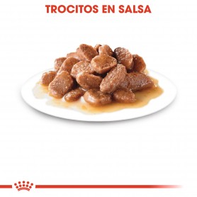 Royal Canin Ageing 12+ comida húmeda en salsa para gato de edad...