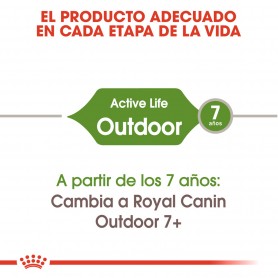 Royal Canin Outdoor 30 pienso para gato adulto de exterior