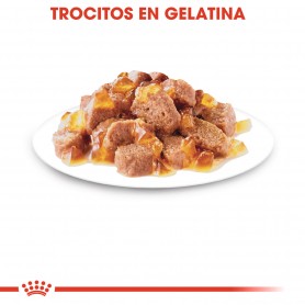 Royal Canin Sterilised comida húmeda en gelatina para gato adulto...